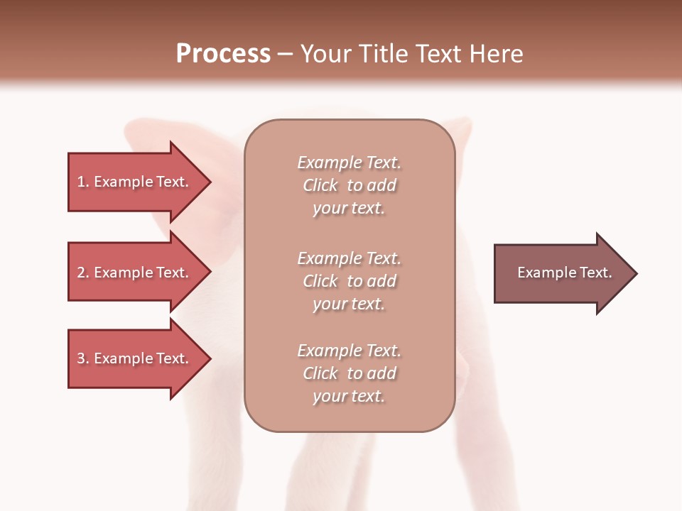 Pork Pink Standing PowerPoint Template