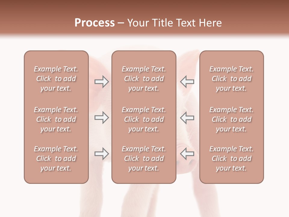 Pork Pink Standing PowerPoint Template