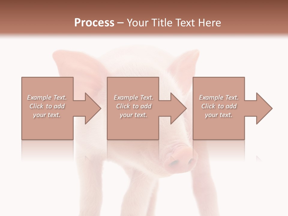Pork Pink Standing PowerPoint Template