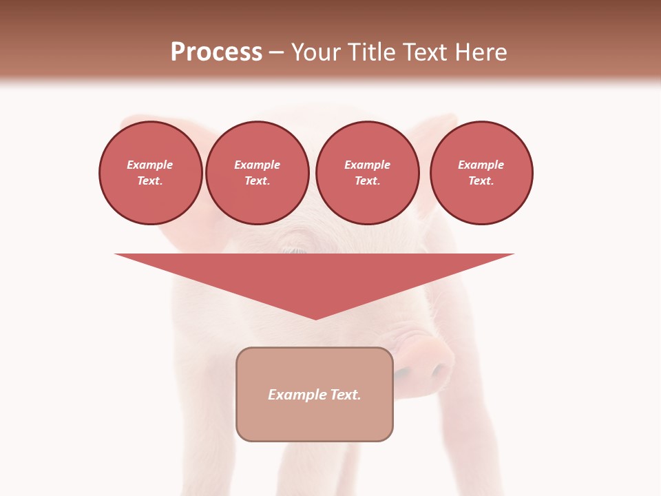 Pork Pink Standing PowerPoint Template