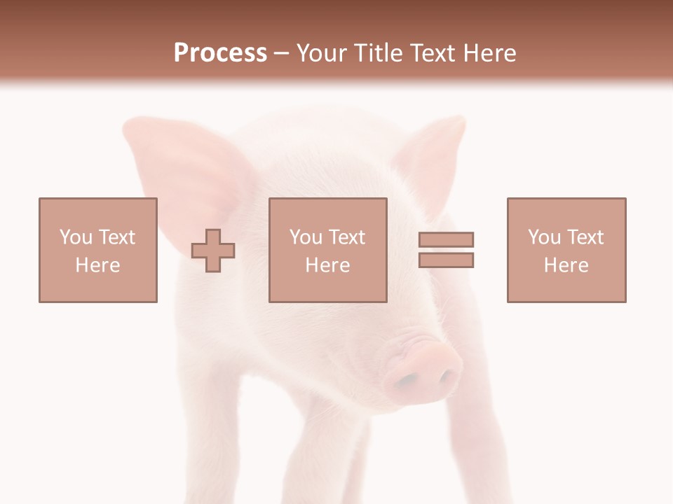 Pork Pink Standing PowerPoint Template