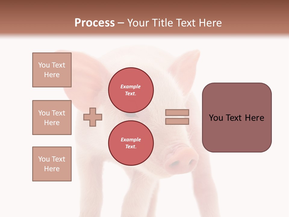 Pork Pink Standing PowerPoint Template