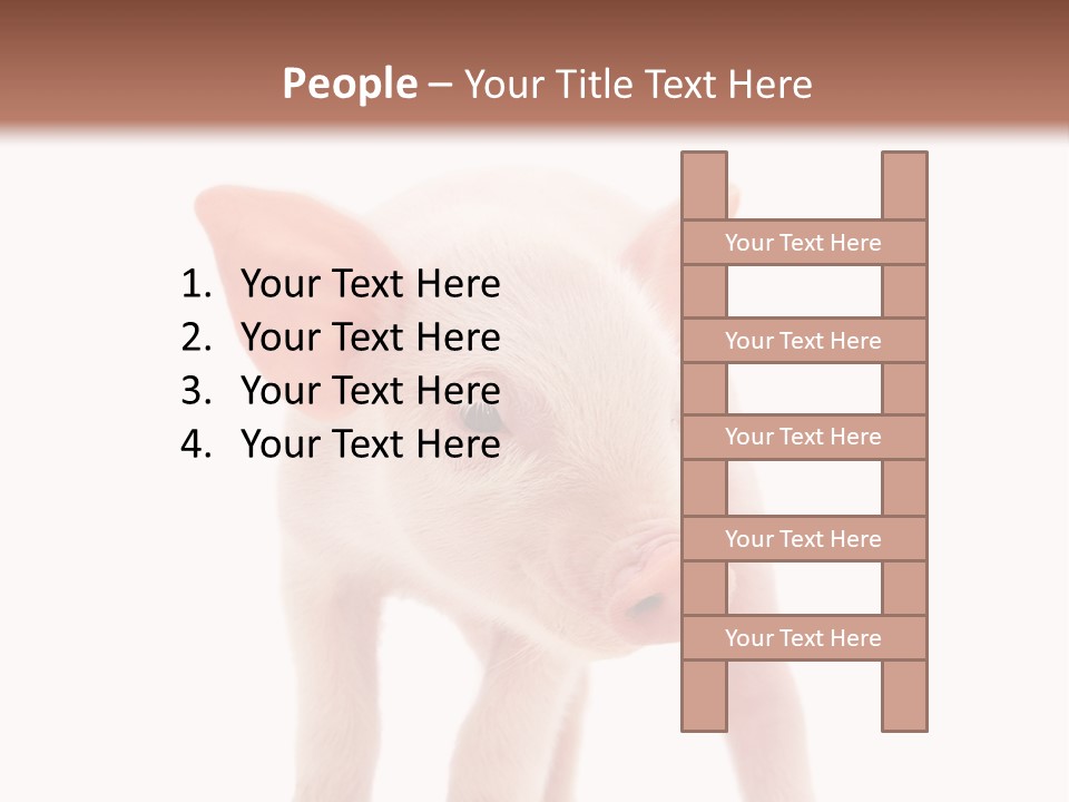 Pork Pink Standing PowerPoint Template
