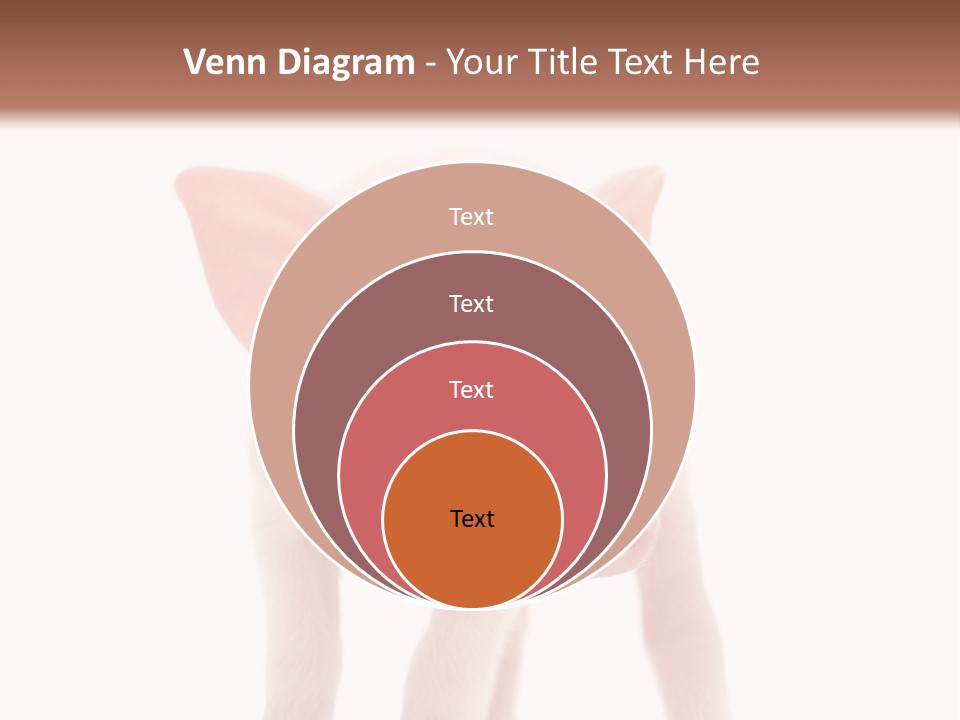 Pork Pink Standing PowerPoint Template