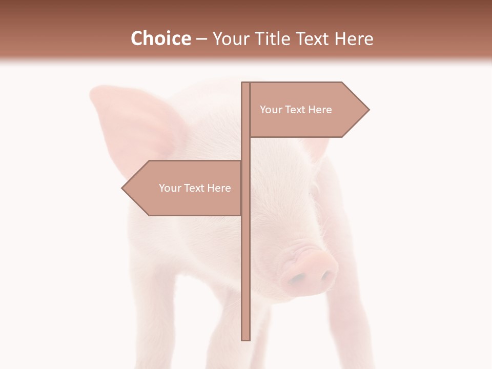 Pork Pink Standing PowerPoint Template