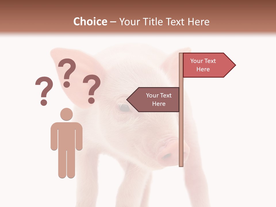 Pork Pink Standing PowerPoint Template