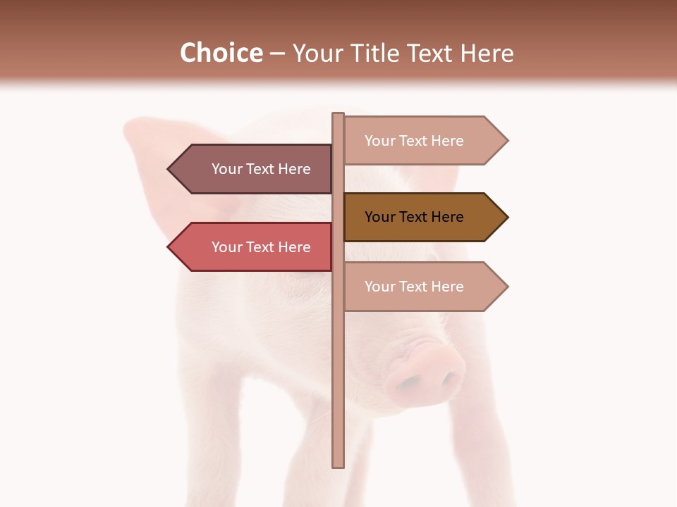 Pork Pink Standing PowerPoint Template