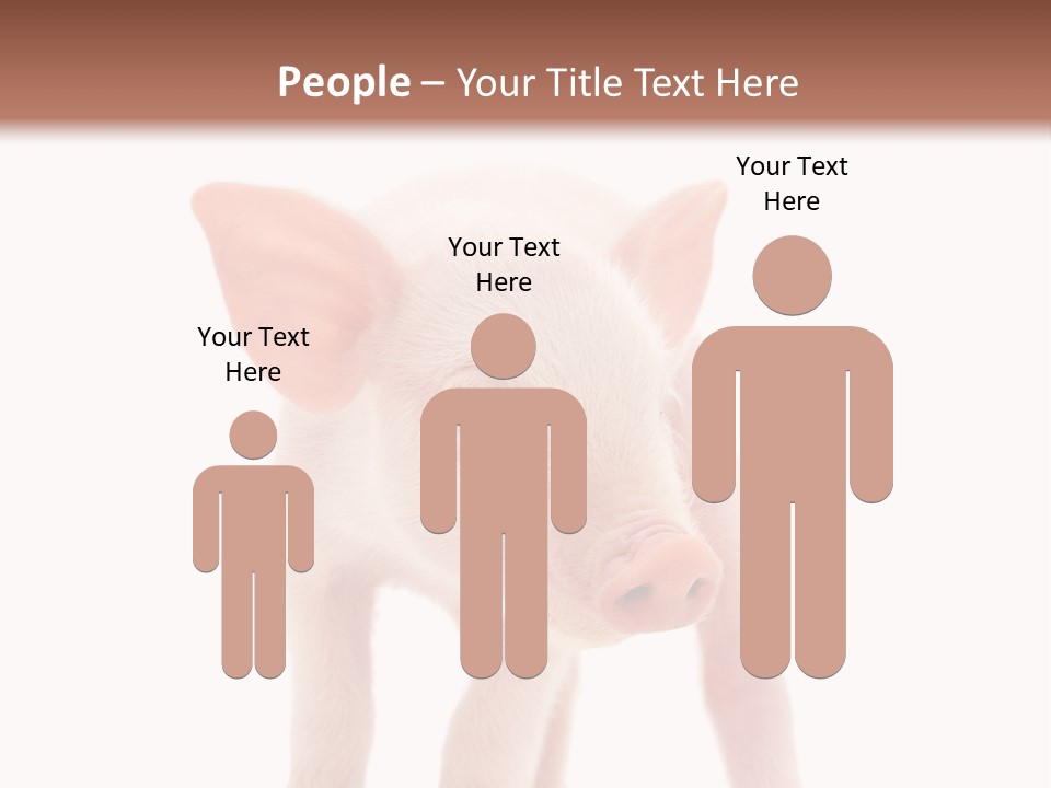 Pork Pink Standing PowerPoint Template
