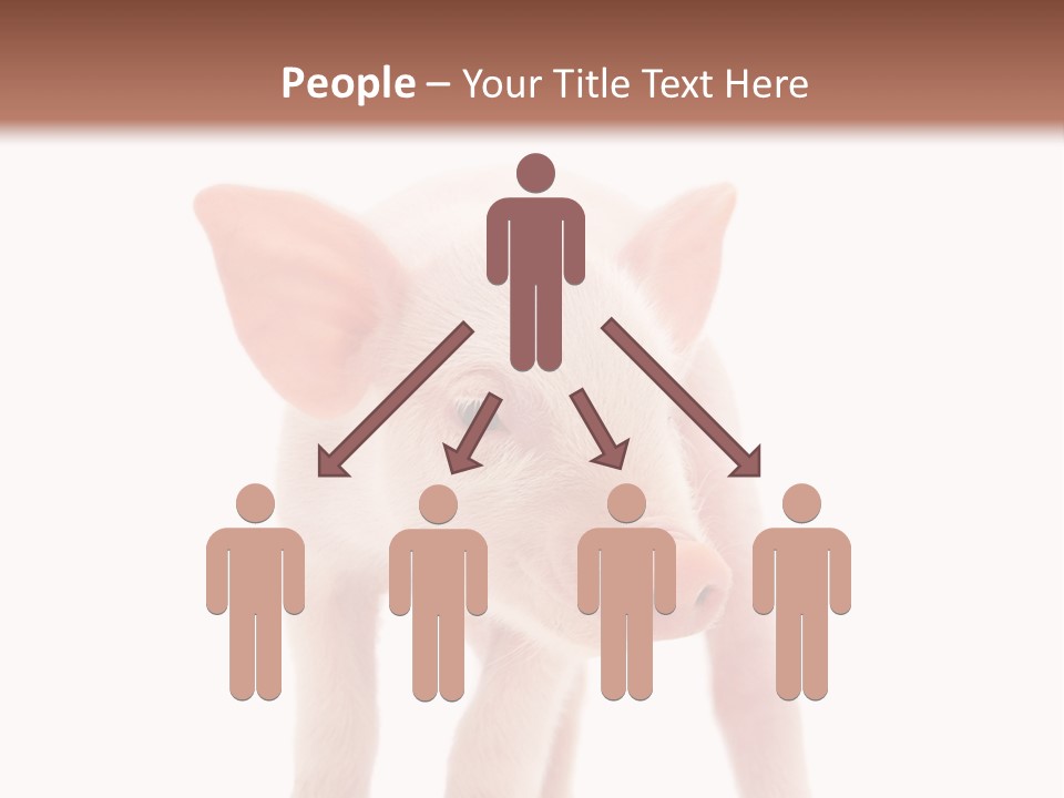 Pork Pink Standing PowerPoint Template