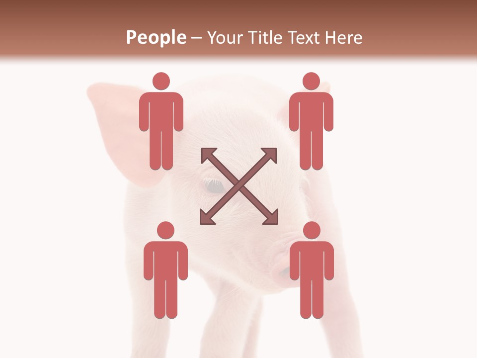 Pork Pink Standing PowerPoint Template