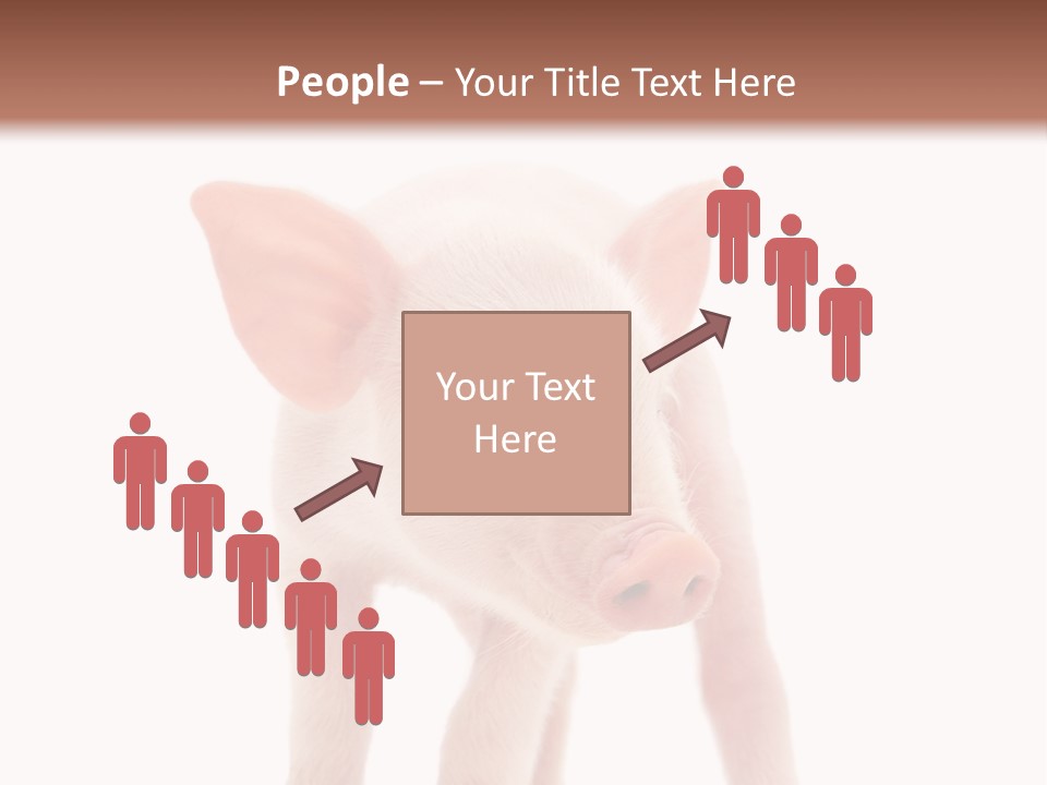 Pork Pink Standing PowerPoint Template