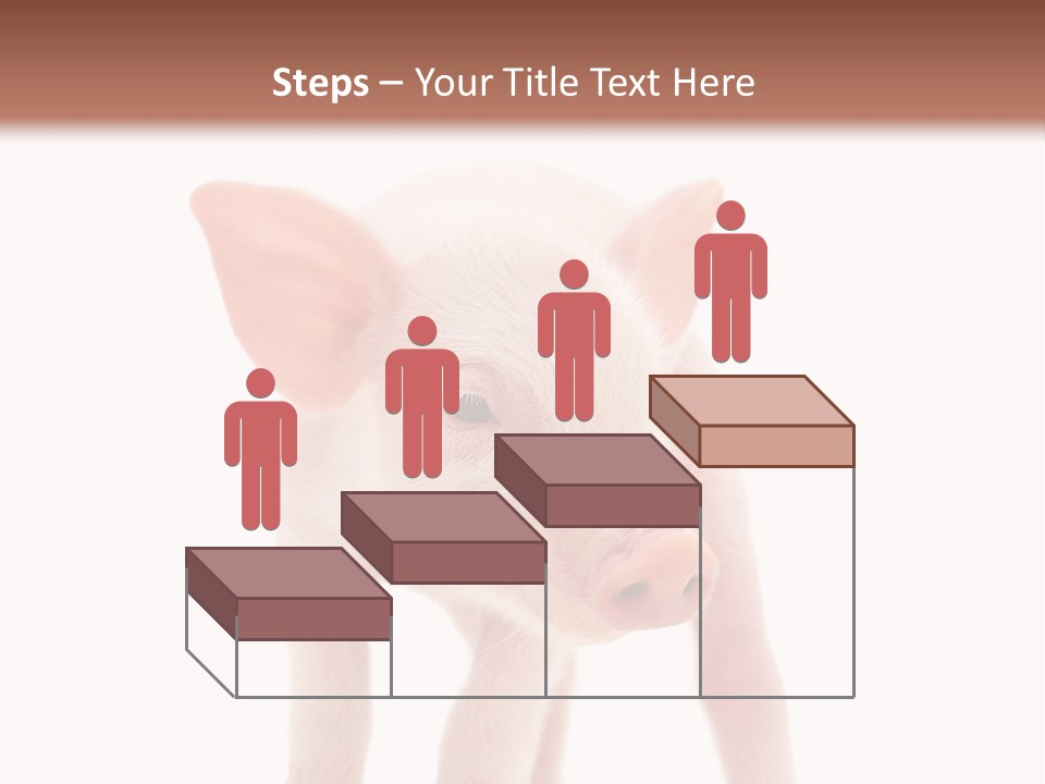 Pork Pink Standing PowerPoint Template