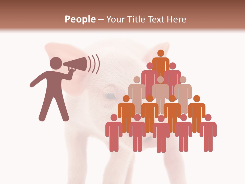 Pork Pink Standing PowerPoint Template