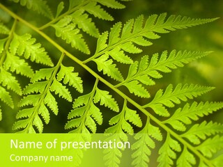 Nature Uncultivated Pattern PowerPoint Template