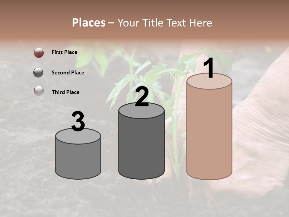 Seedling Greenhouse Sticking PowerPoint Template
