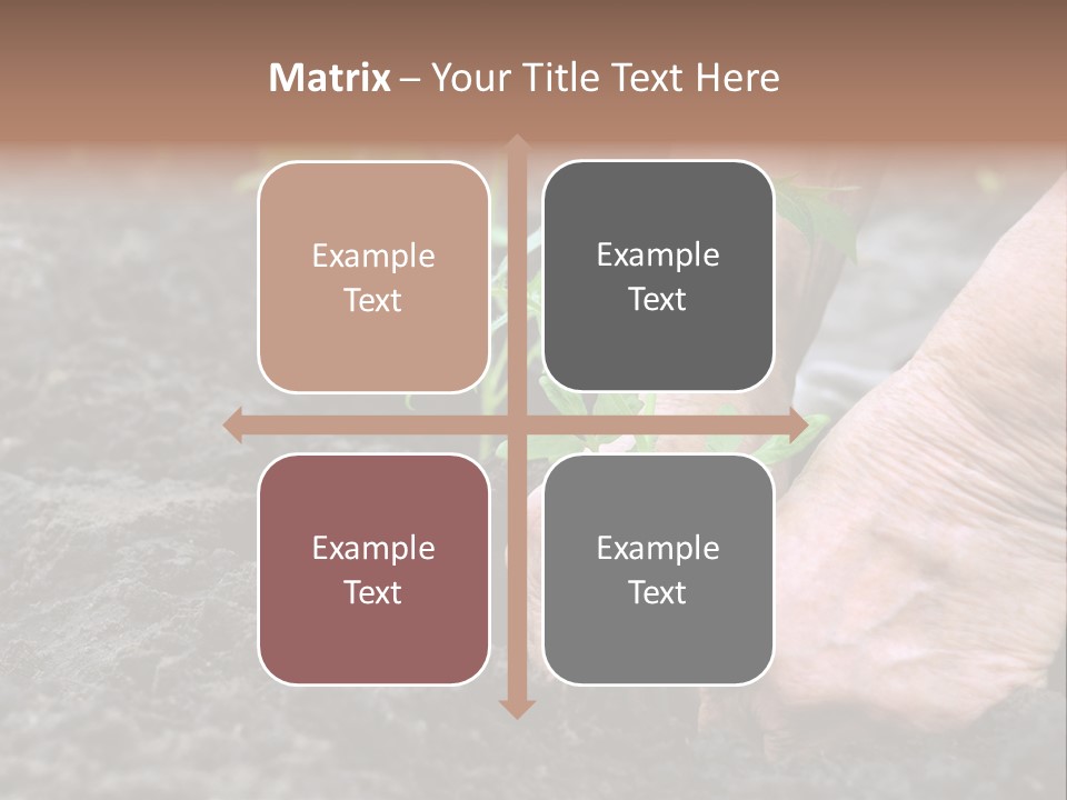 Seedling Greenhouse Sticking PowerPoint Template