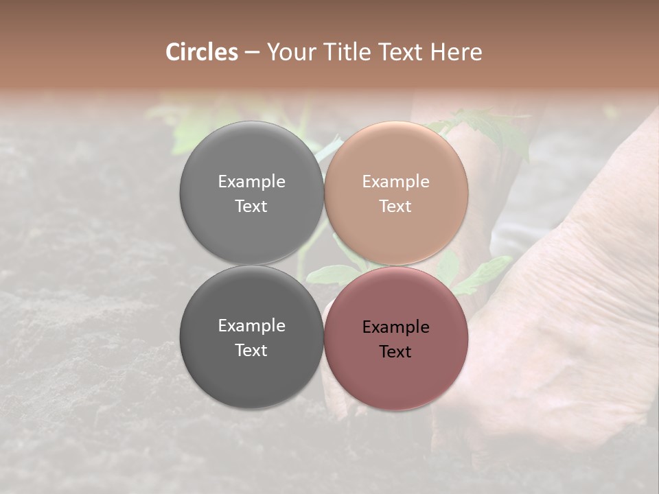 Seedling Greenhouse Sticking PowerPoint Template