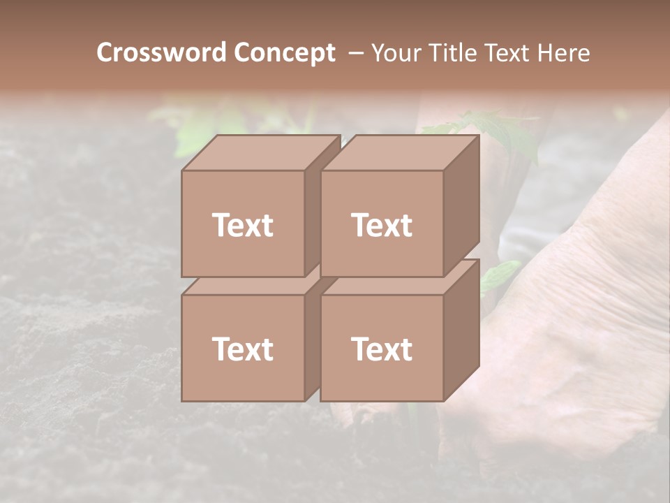 Seedling Greenhouse Sticking PowerPoint Template