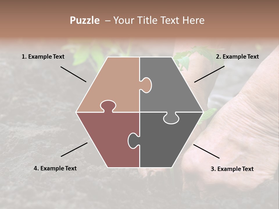 Seedling Greenhouse Sticking PowerPoint Template
