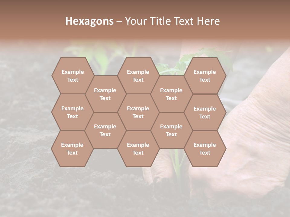 Seedling Greenhouse Sticking PowerPoint Template