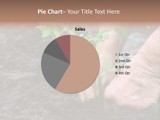 Seedling Greenhouse Sticking PowerPoint Template