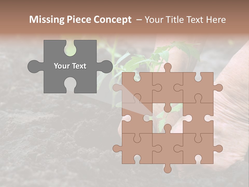 Seedling Greenhouse Sticking PowerPoint Template