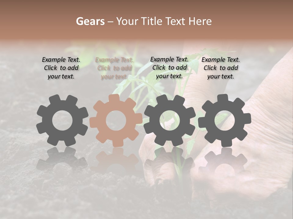 Seedling Greenhouse Sticking PowerPoint Template