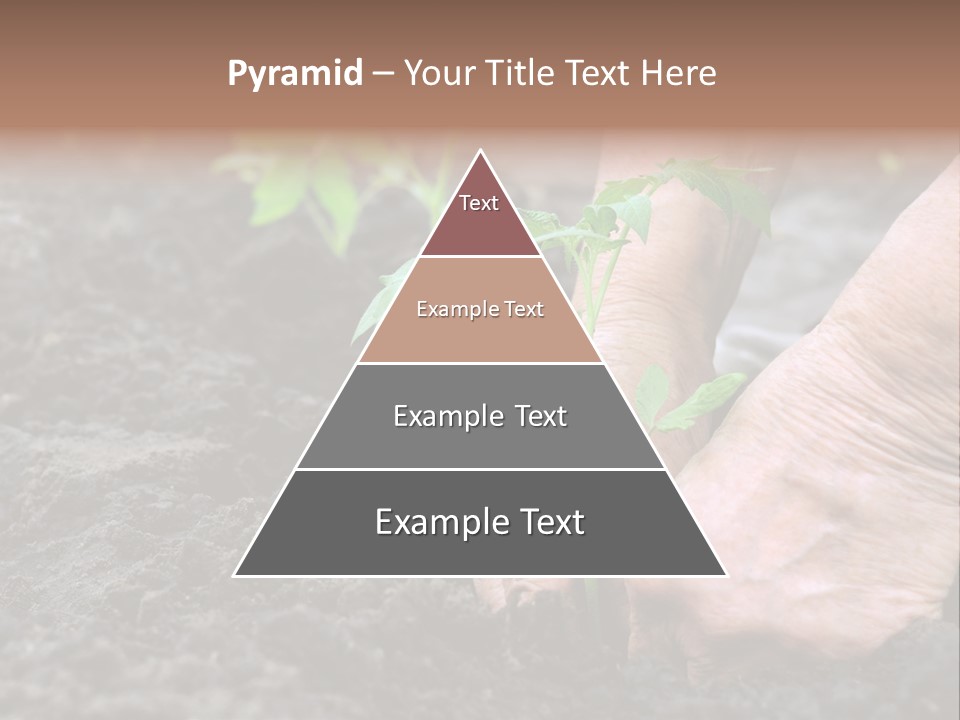 Seedling Greenhouse Sticking PowerPoint Template