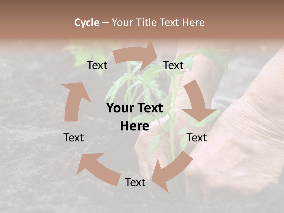 Seedling Greenhouse Sticking PowerPoint Template