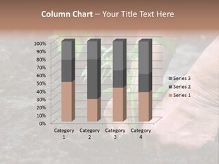 Seedling Greenhouse Sticking PowerPoint Template