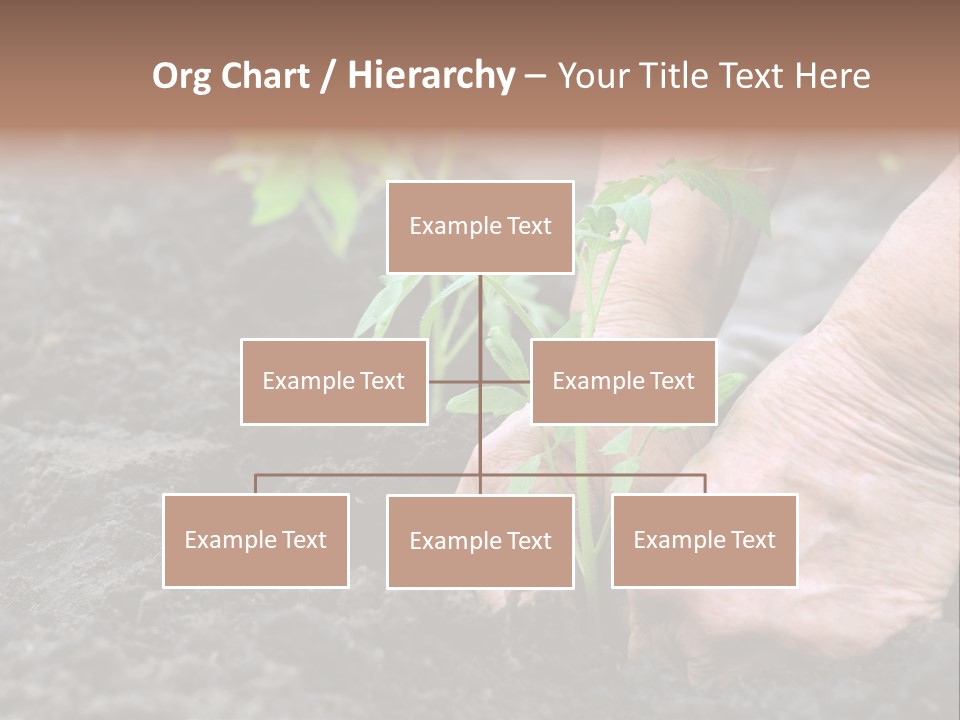 Seedling Greenhouse Sticking PowerPoint Template