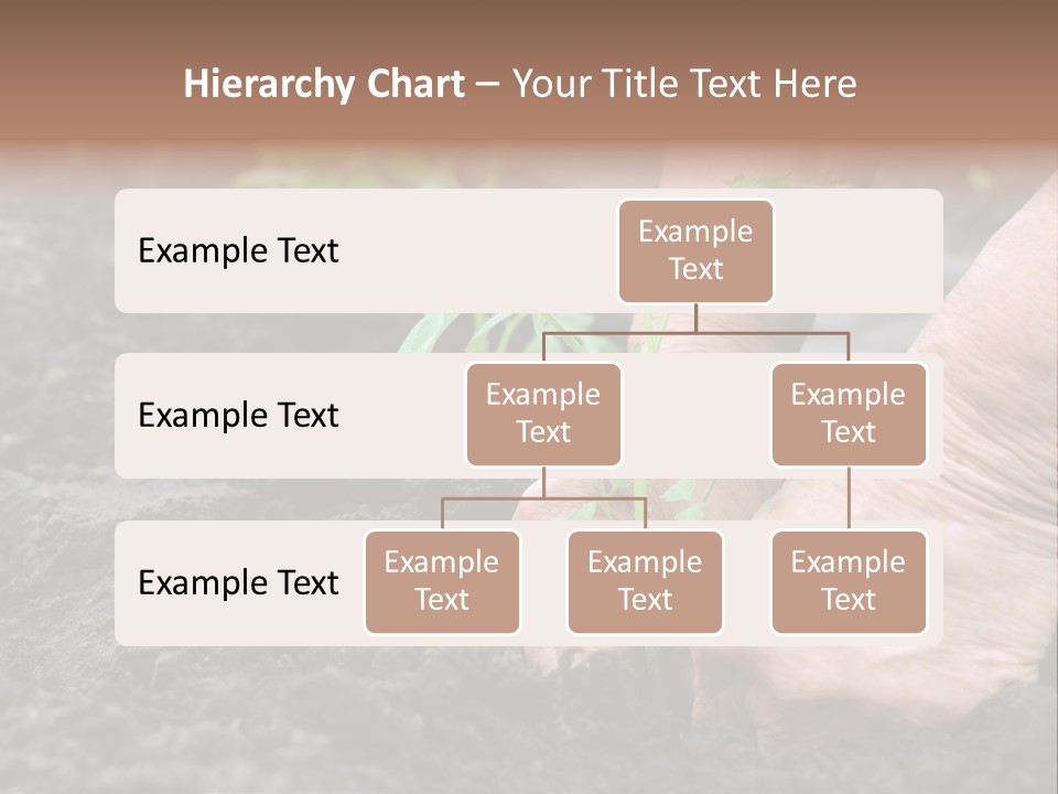 Seedling Greenhouse Sticking PowerPoint Template