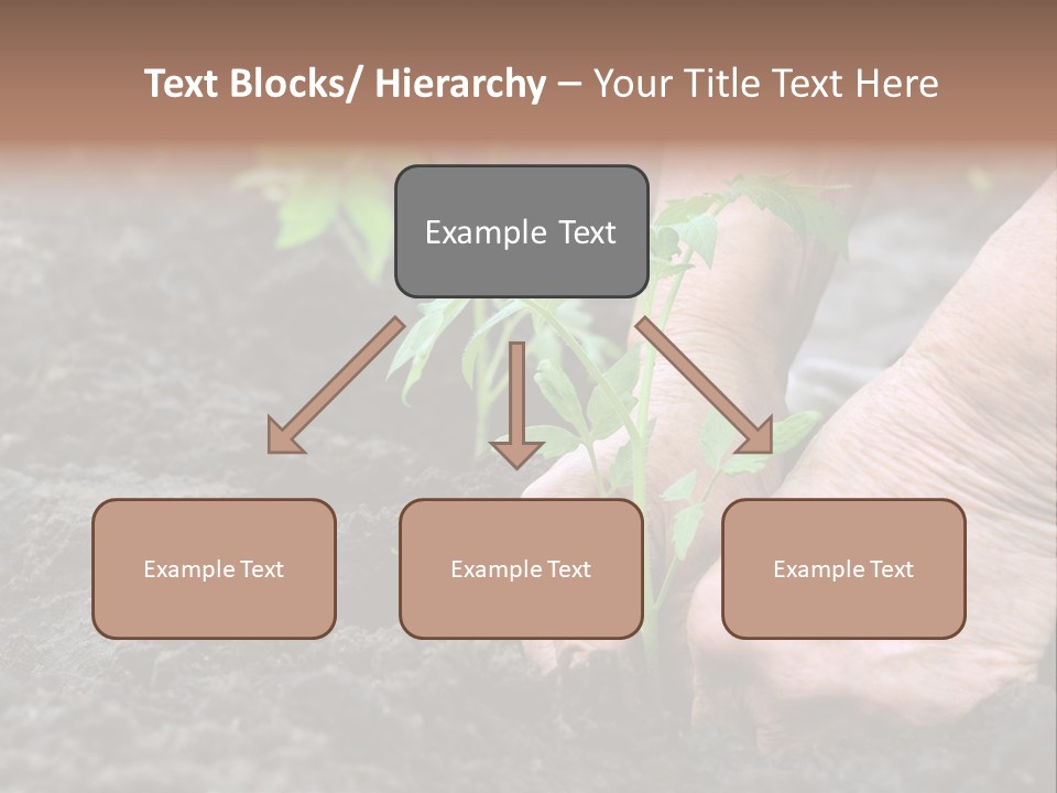 Seedling Greenhouse Sticking PowerPoint Template