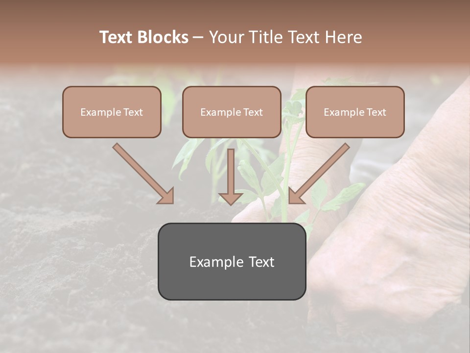 Seedling Greenhouse Sticking PowerPoint Template