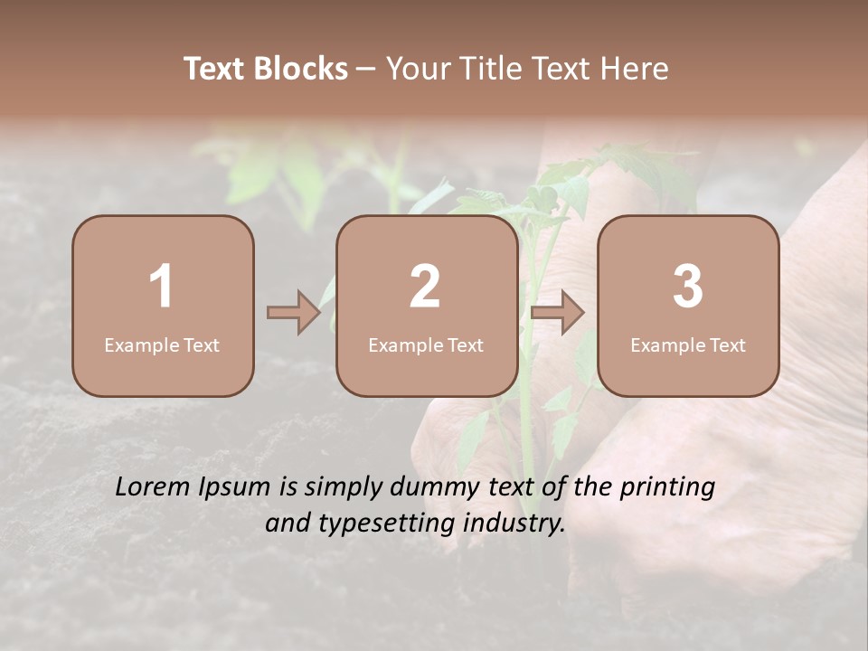 Seedling Greenhouse Sticking PowerPoint Template