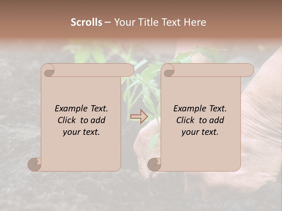 Seedling Greenhouse Sticking PowerPoint Template