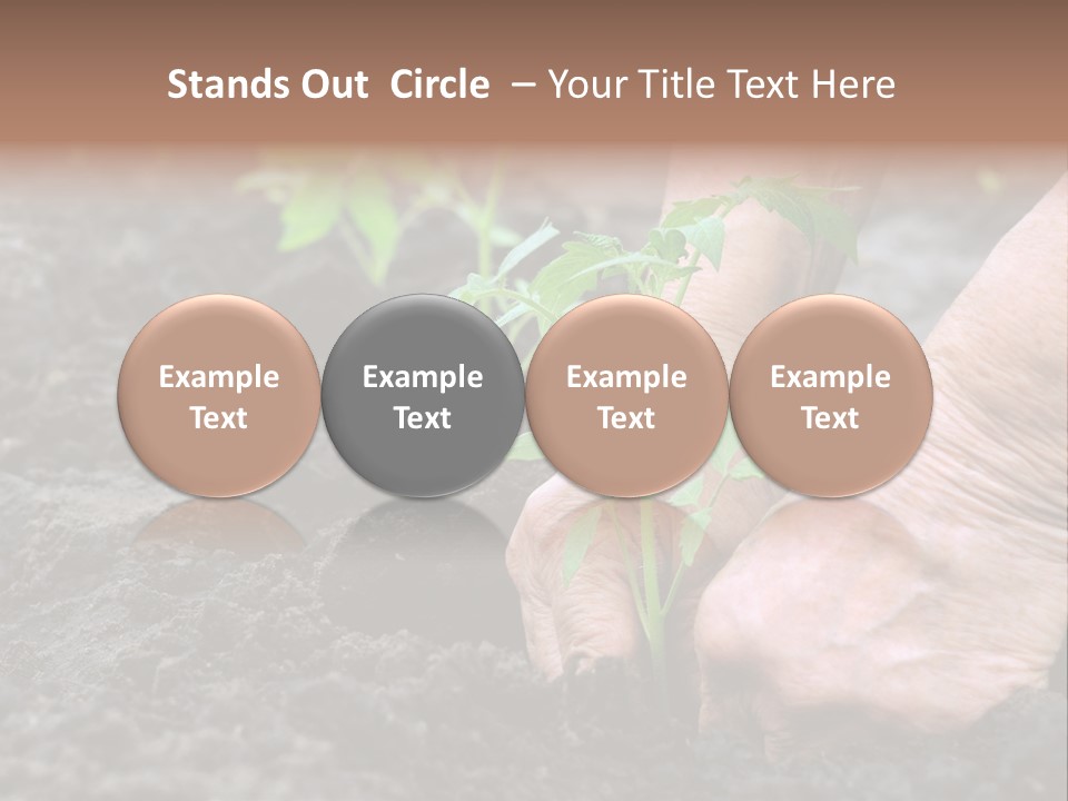 Seedling Greenhouse Sticking PowerPoint Template