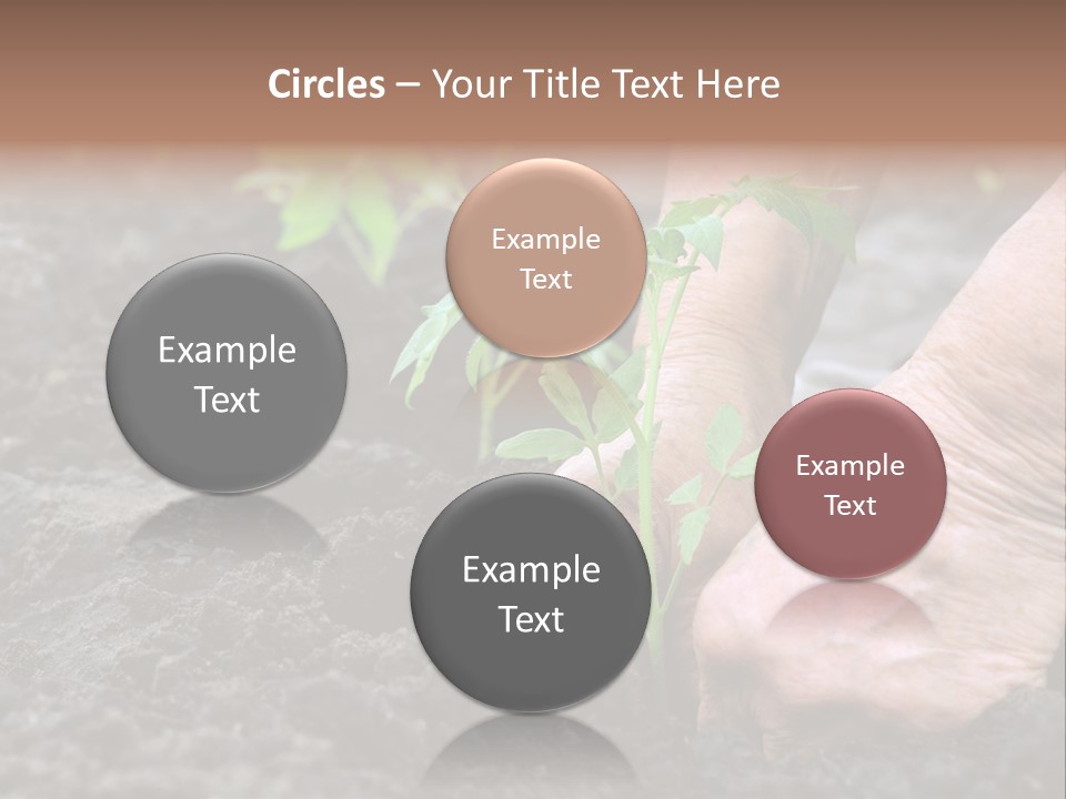 Seedling Greenhouse Sticking PowerPoint Template