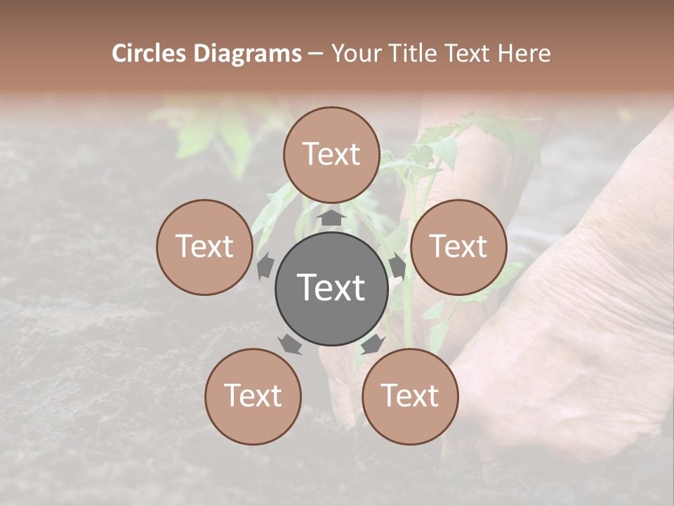 Seedling Greenhouse Sticking PowerPoint Template