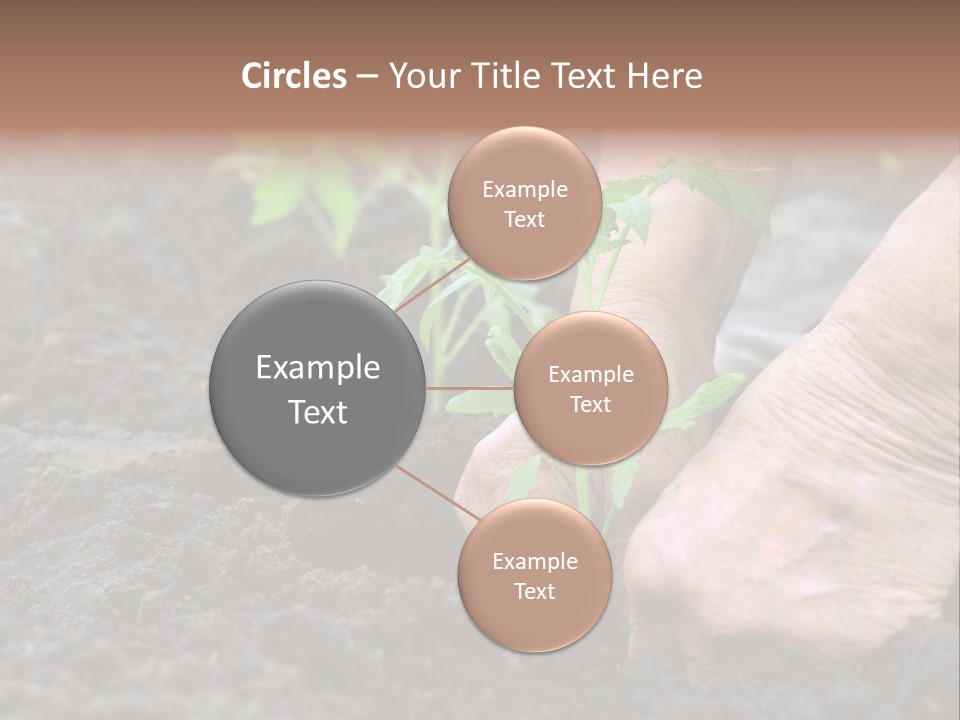 Seedling Greenhouse Sticking PowerPoint Template