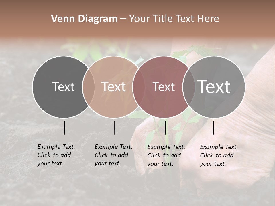 Seedling Greenhouse Sticking PowerPoint Template