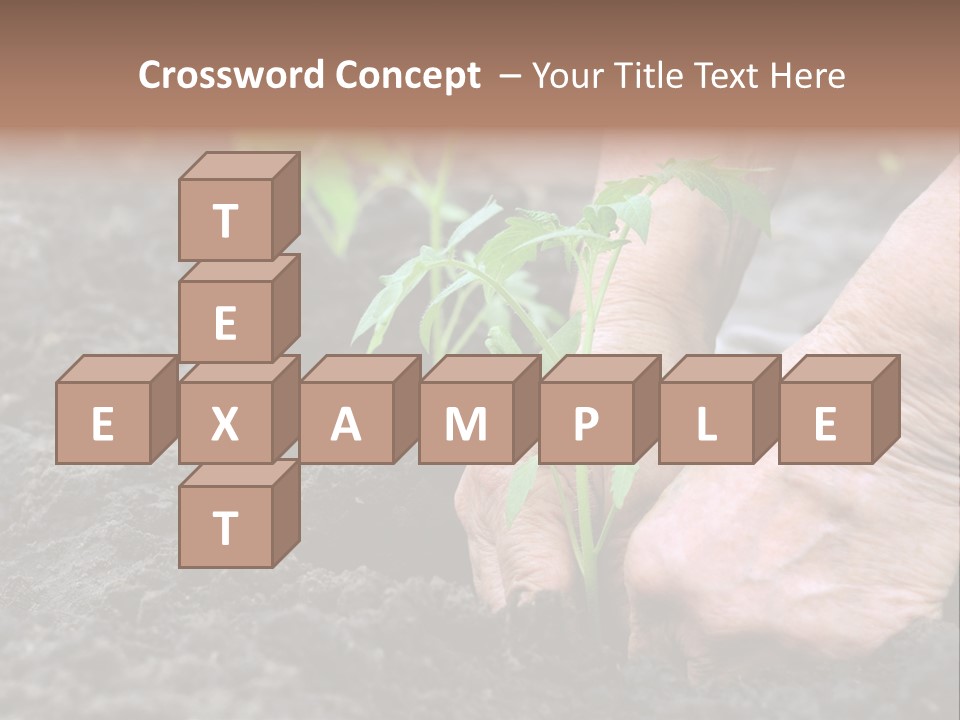 Seedling Greenhouse Sticking PowerPoint Template