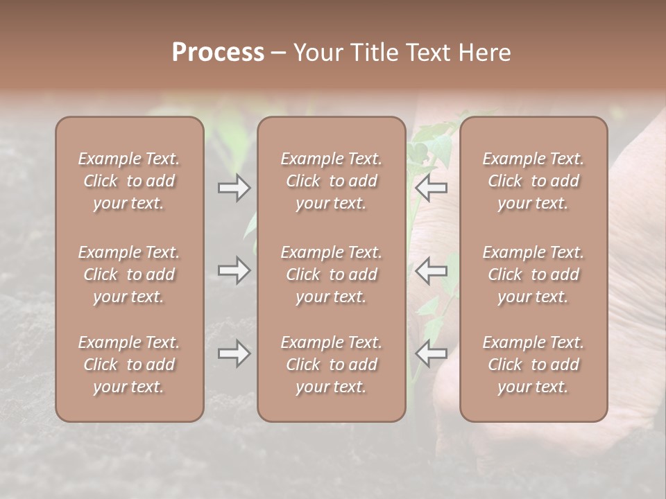 Seedling Greenhouse Sticking PowerPoint Template
