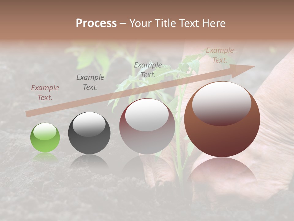 Seedling Greenhouse Sticking PowerPoint Template