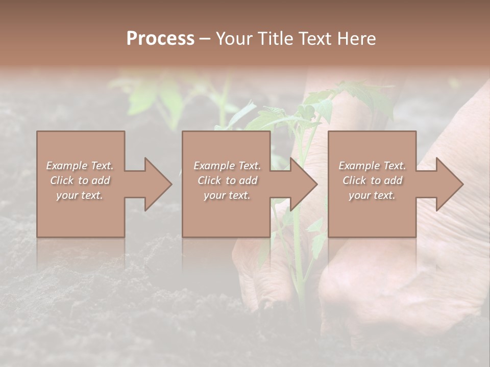 Seedling Greenhouse Sticking PowerPoint Template