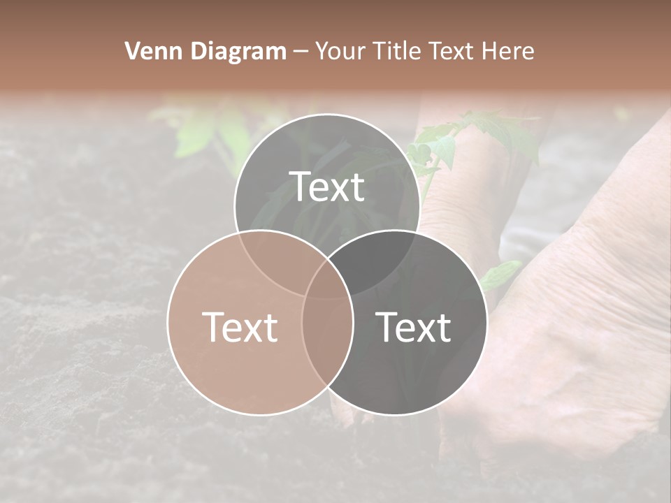 Seedling Greenhouse Sticking PowerPoint Template