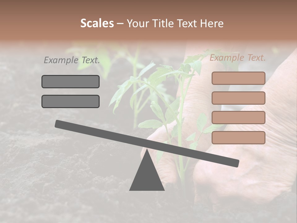 Seedling Greenhouse Sticking PowerPoint Template