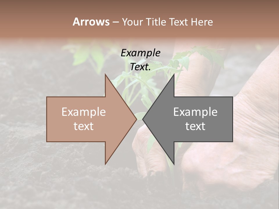 Seedling Greenhouse Sticking PowerPoint Template