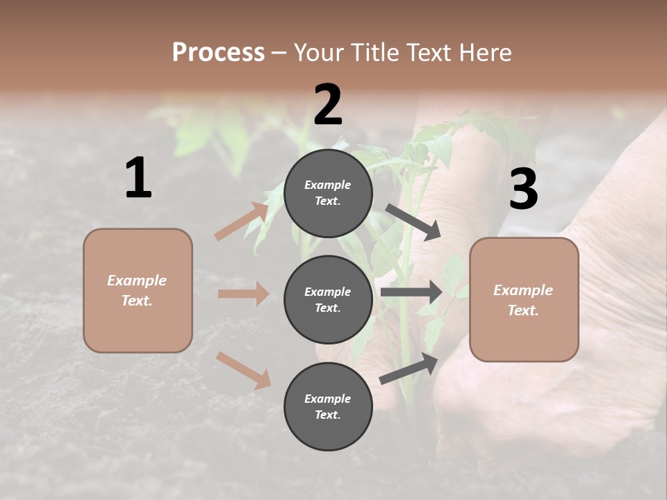 Seedling Greenhouse Sticking PowerPoint Template