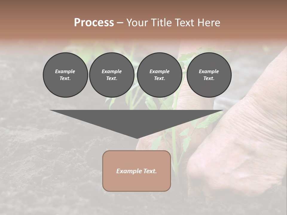 Seedling Greenhouse Sticking PowerPoint Template